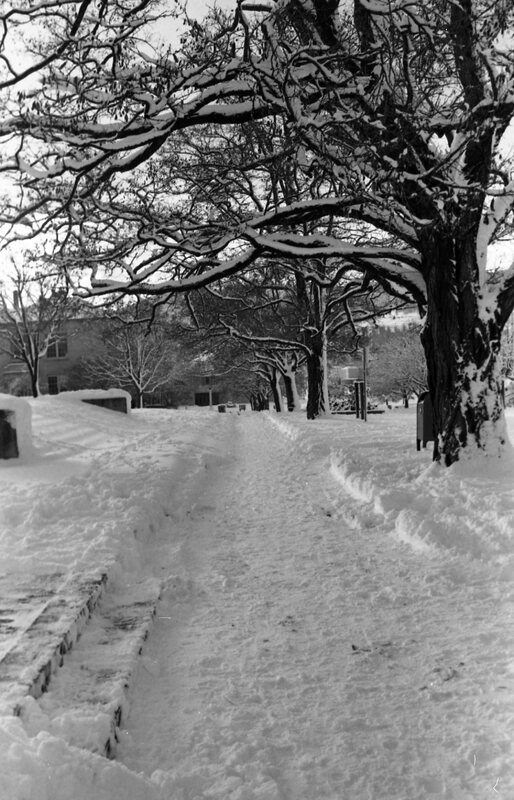 1984 Campus in Winter 03