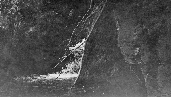 Reuter Group-O, Little Creek 1