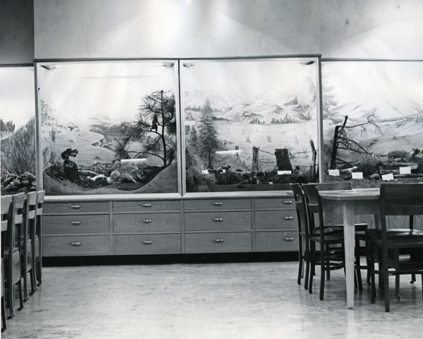 1952 Pierce Library Interior 9