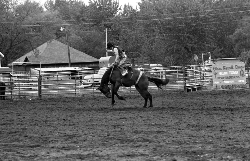 1986 Springfest, Rodeo Bronco Riding 02
