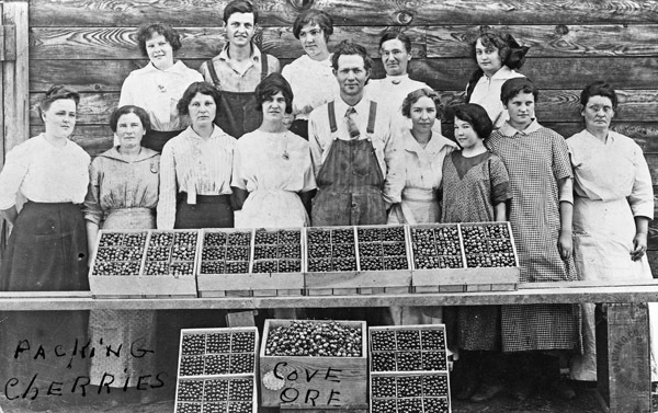 Cove, Cherry Packers