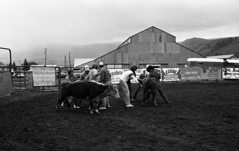 1982 EOSC Rodeo, Cow Milking 06