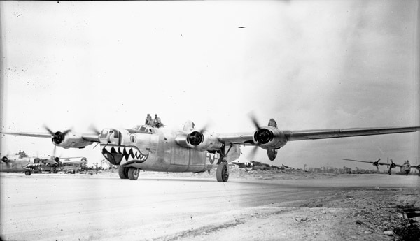 B-24, Shark Face Bomber