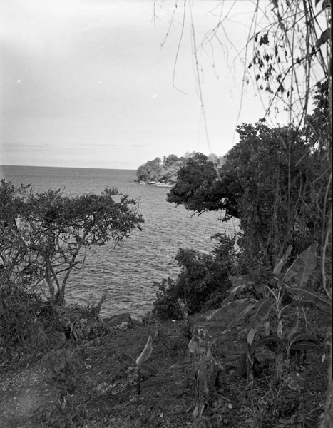 Dobodura Jungle &amp; Bay