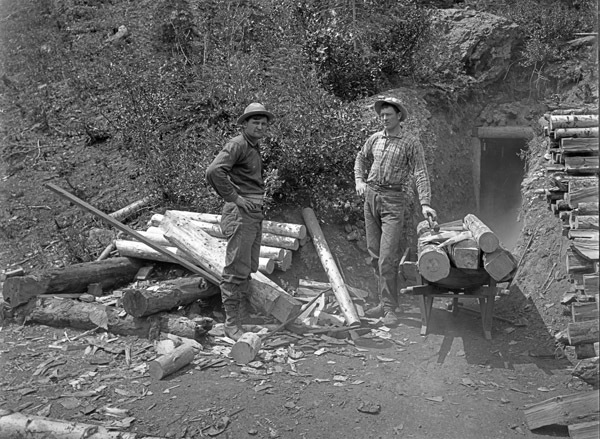 Baker, Standard Mines