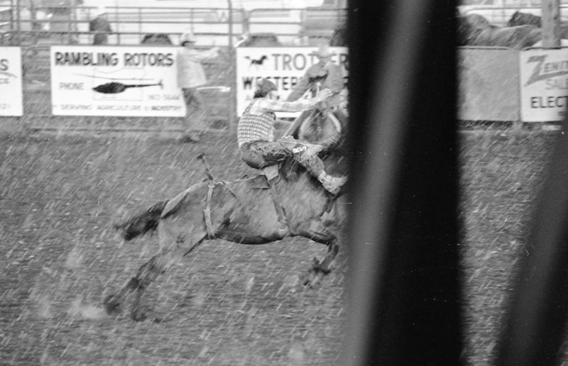 1978 Rodeo, Bronco Riding 03
