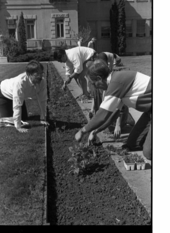 1989 Employees, Planting 09