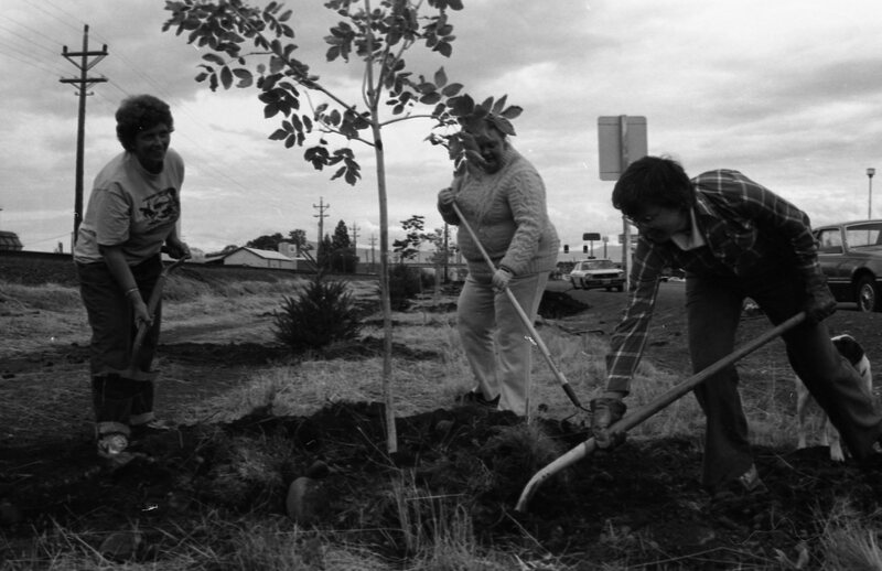 1985 Soroptimist Tree Plantings 03