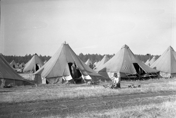 Rows of tents, many columns deep, in a wooded clearing. A soldier stands at the entrance to the center tent, with another soldier sitting on the ground in the foreground.