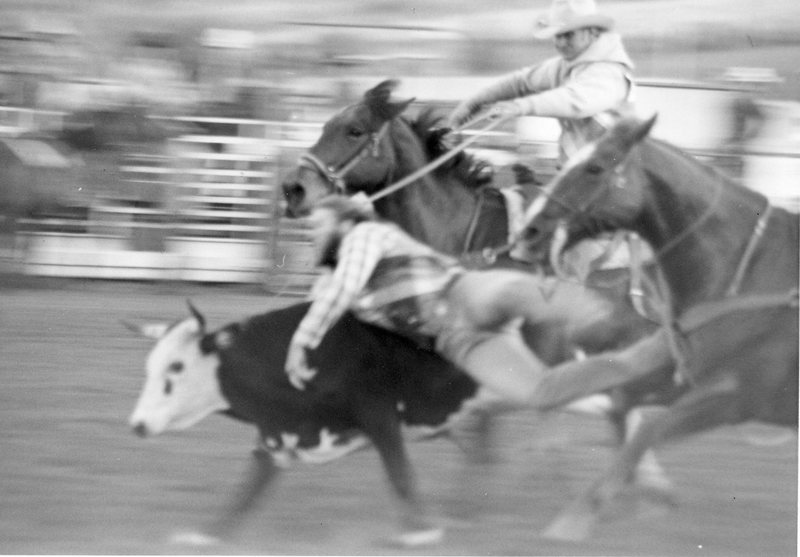 1979 Rodeo, Bulldogging 03