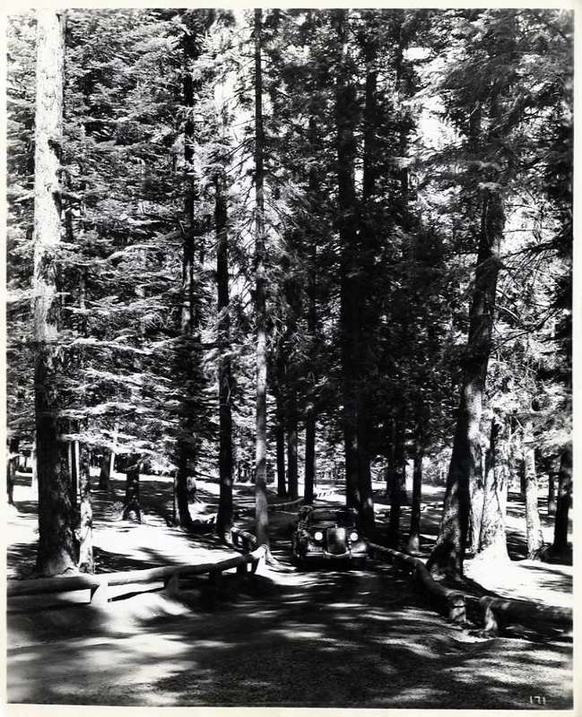 40's Oregon, Battle Mt. Park