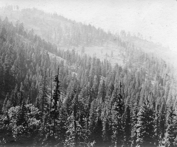 Oregon, Scenery 2
