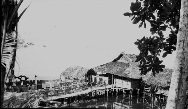 Biak Native Homes 4