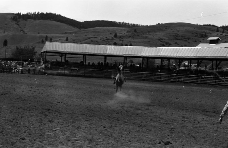 1981 Rodeo, Bronco Riding 04