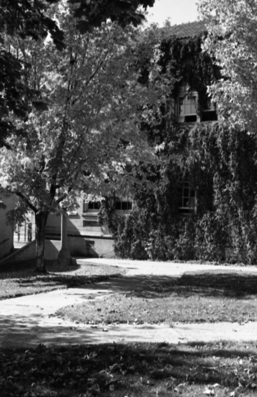 1978 Campus in Autumn 04