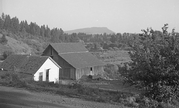 Elgin Farm, Bernal Hug Sr. 3