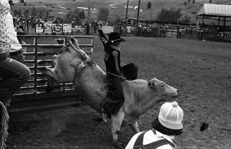 1981 Rodeo, Bull Riding 06