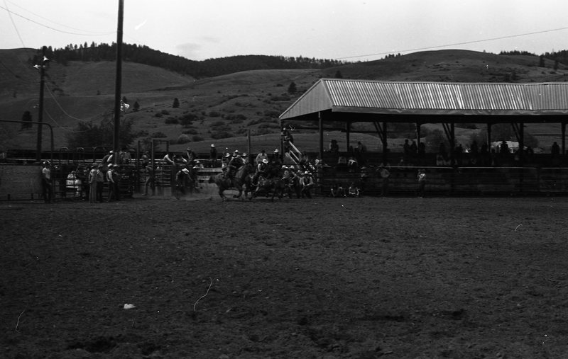 1981 Rodeo, Bulldogging 02