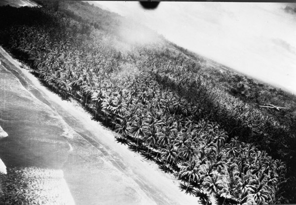 Aerial, North Coast of N.G. 1
