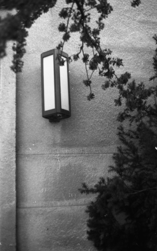 1981 Walter M. Pierce Library, Exterior Detail 02