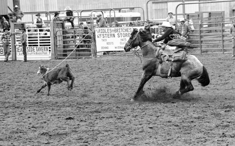 1986 Springfest, Rodeo Roping 02