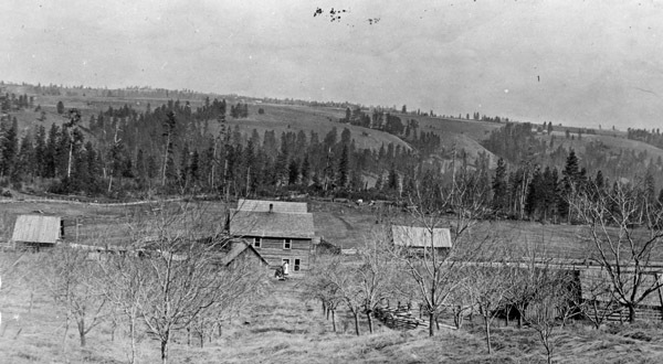 Elgin Home, John Young