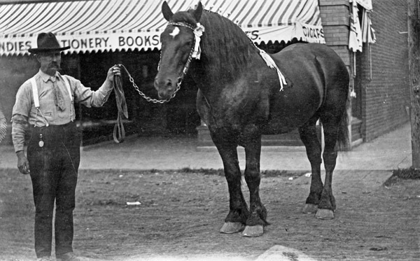 Union County Horse Show 2