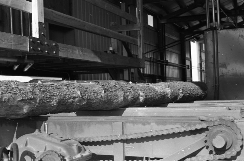 1980 Log Plant 15
