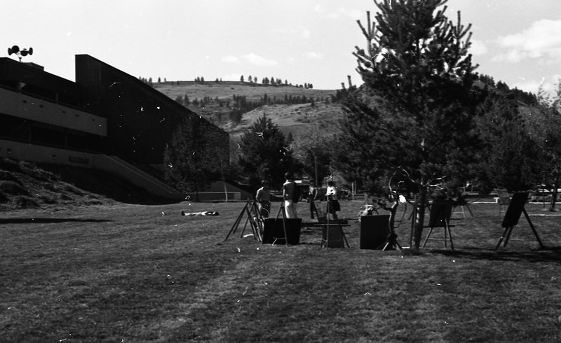 1982 Festival, Art Sale