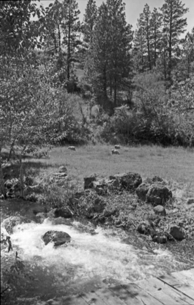Cove, Park and Stream 2