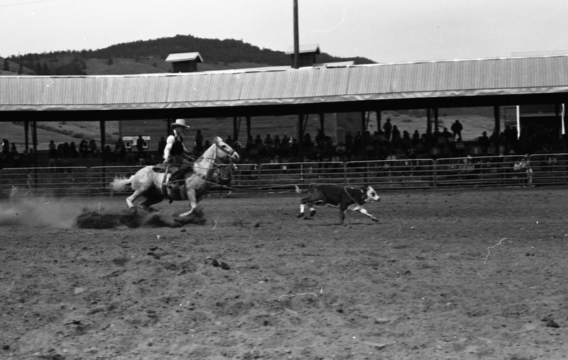 1981 Rodeo, Calf Roping 06
