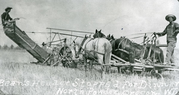 North Powder, Header Harvest