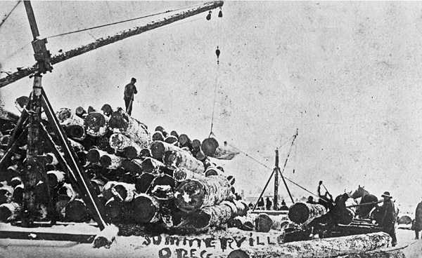 Summerville, Logging Operation