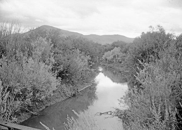 Cove, Stream 2