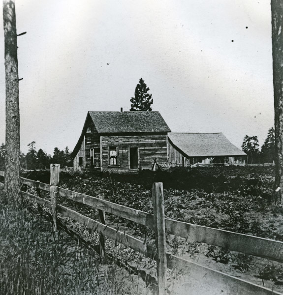Paradise Home, Raines