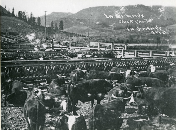 La Grande Stockyards