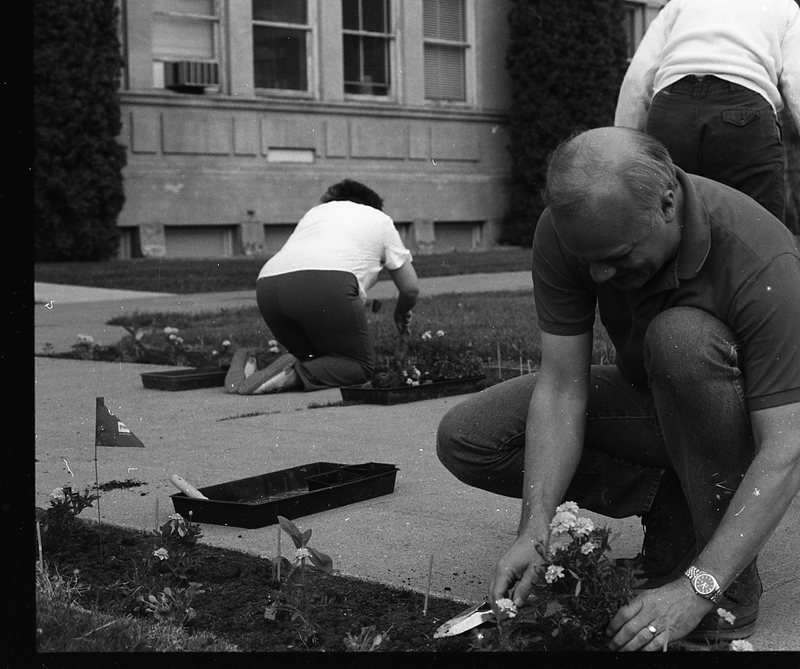 1991 Employees, Planting 01