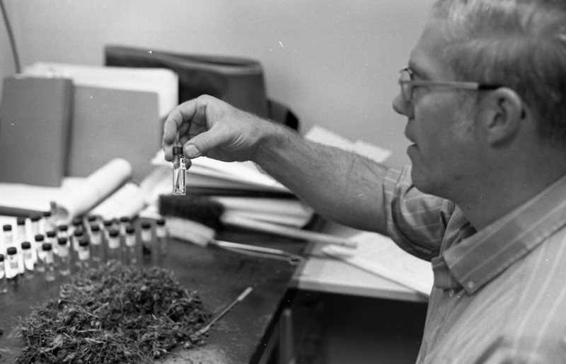 1981 Employee, Doug Campbell 02