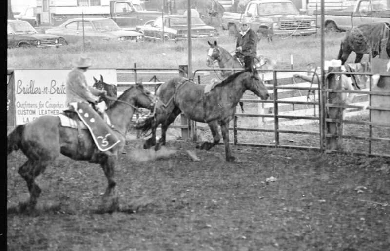 1978 Rodeo, Bronco Riding 04