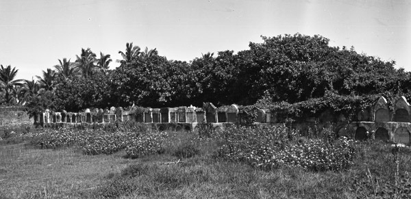 Binmaley Cemetery 3