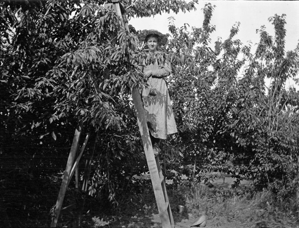 La Grande Farm, Huffman 4