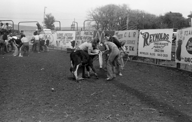1981 Rodeo, Calf Dressing 03