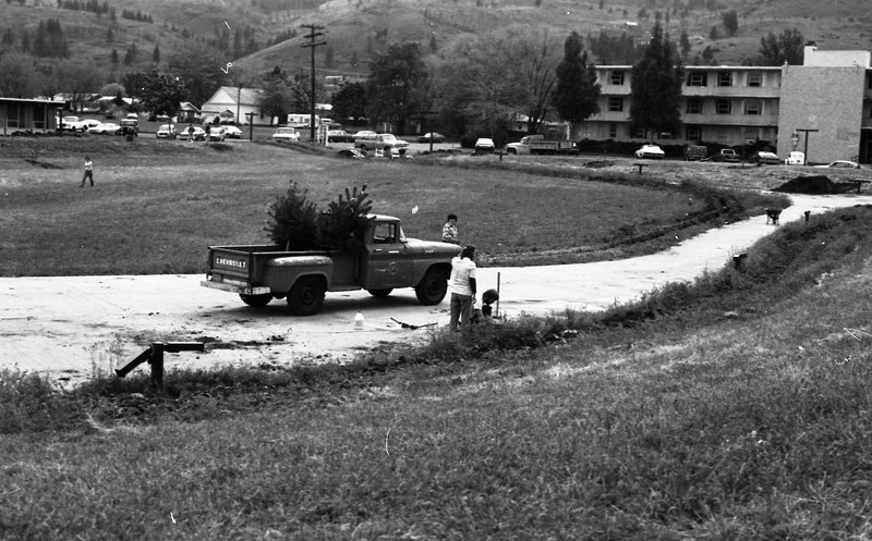 1981 Campus Tree Plantings 14