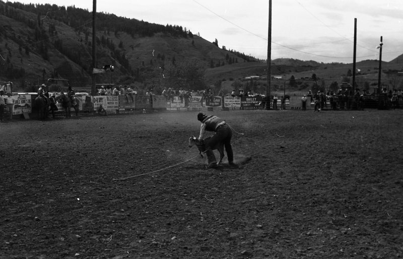 1981 Rodeo, Goat Roping 09