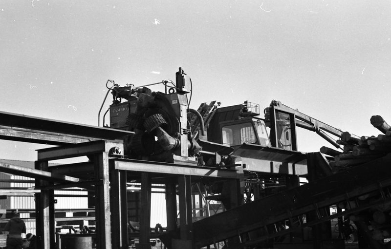 1980 Log Plant 02