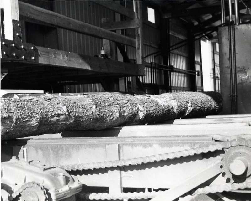 1980 Log Plant 14