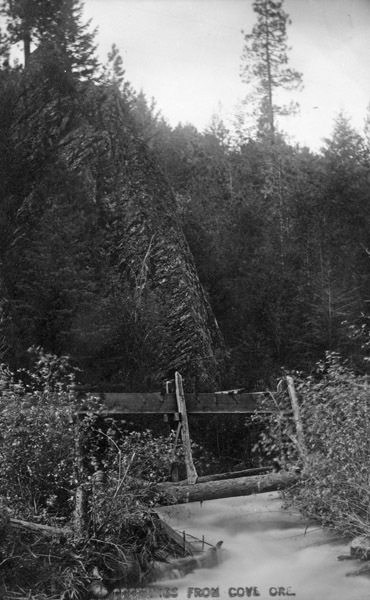 Cove, Stream 1