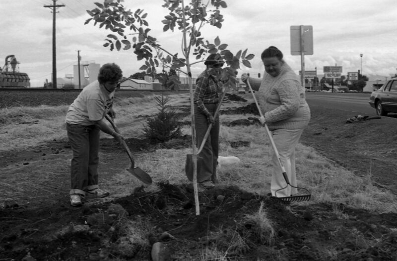 1985 Soroptimist Tree Plantings 02