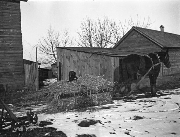 La Grande, Straw Boat 2