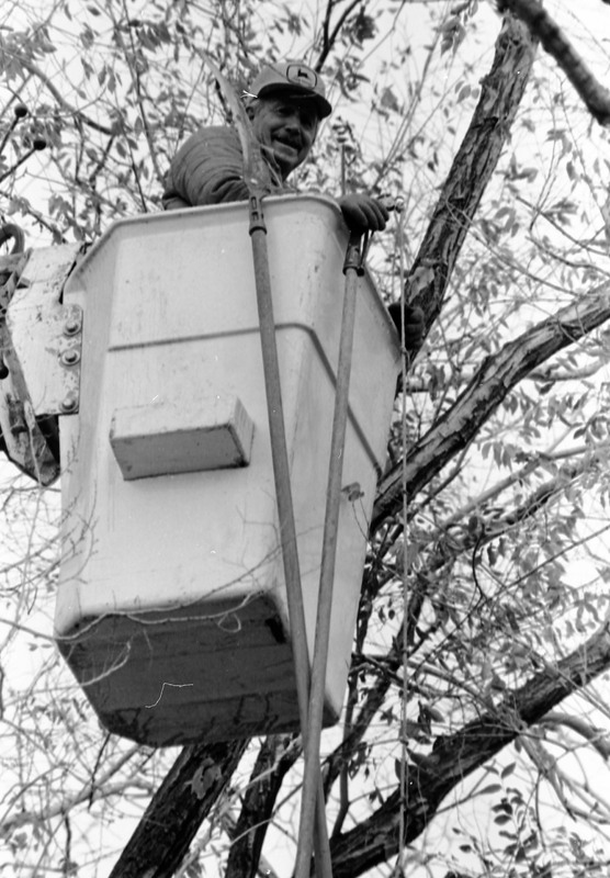 1988 Employee, Tree Trimming 04